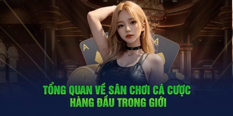 Giới thiệu về nhà cái XO88 Giới thiệu về nhà cái XO88
